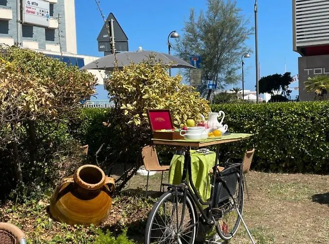 Diplomatic 벨레지아아지마리나